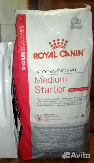 Корм для собак