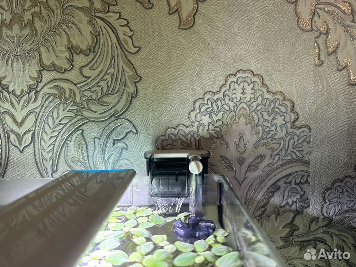 Аквариум куб