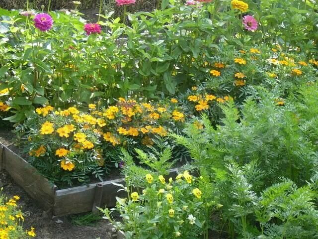 Дача 17 м² на участке 6 сот.