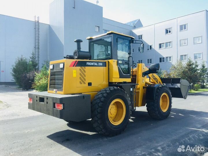 Фронтальный погрузчик Frontal 250, 2022