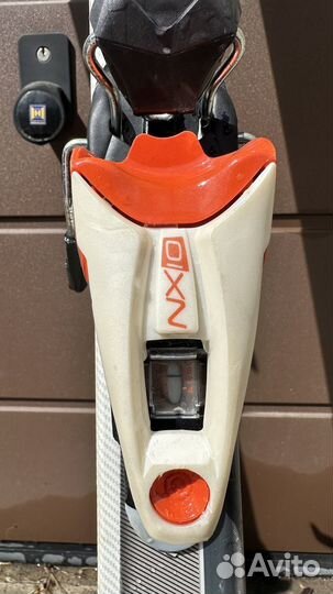 Горные лыжи