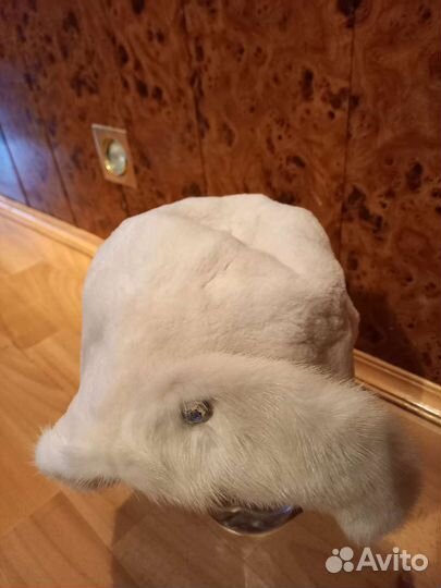 Шапка женская