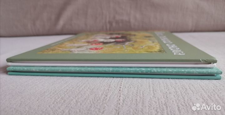 Сказочный мир Эльзы Бесков. 2 книги