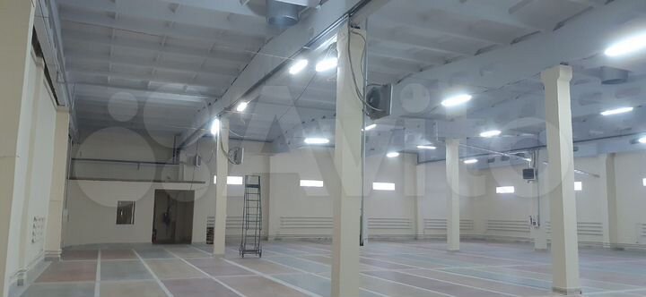 Торговая площадь, 1000 м²