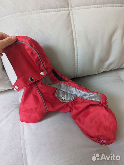 Одежда для маленькой собаки