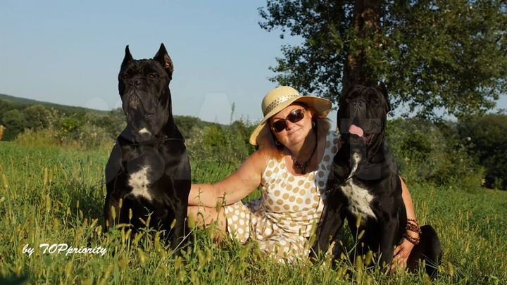 Участок 18 сот. (ИЖС)