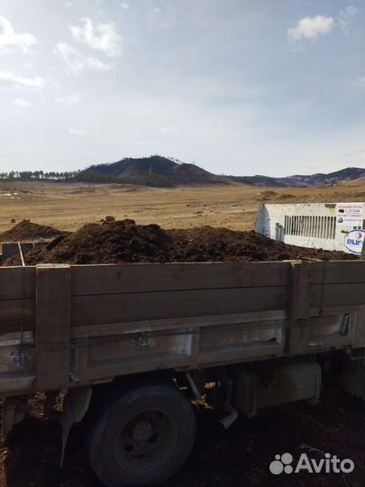 Перегной крс