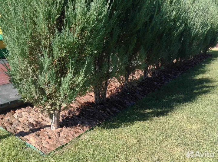 Кора (сосновая ), доставка