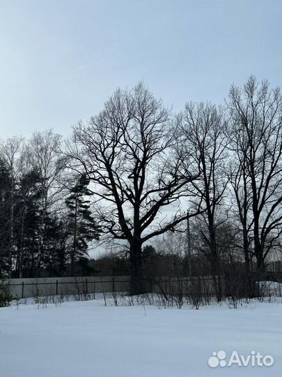 Продам дубРаспил-самовывоз