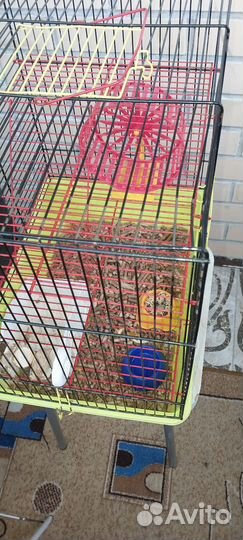 Клетка для грызунов бу