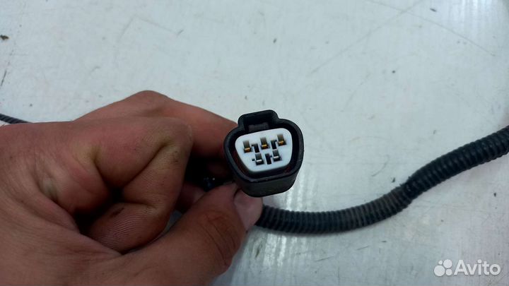 Проводка двигателя Toyota Camry v55