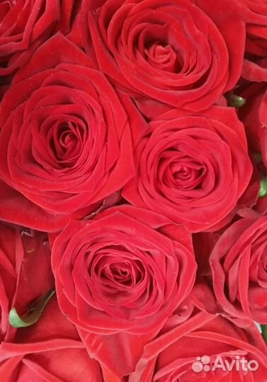 Букет невесты