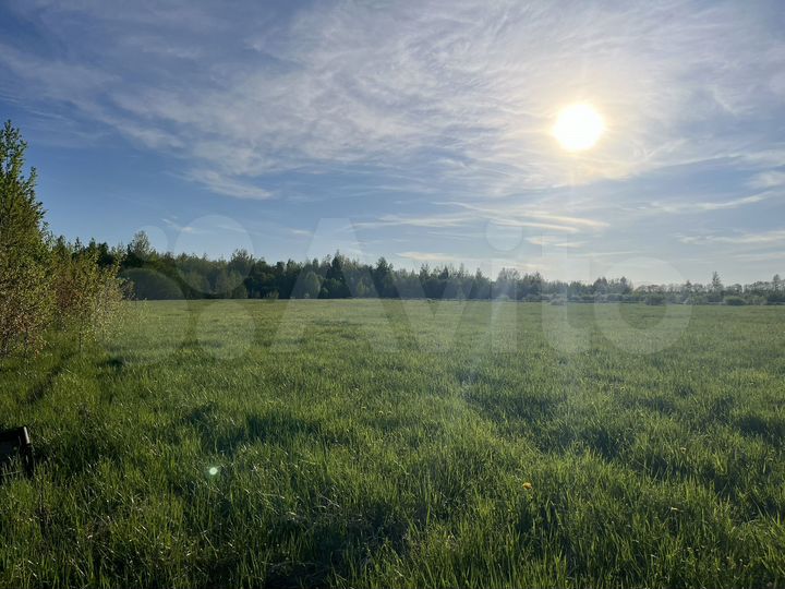 Участок 12 сот. (СНТ, ДНП)