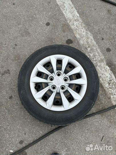 Pirelli Cinturato P1 185/65 R15