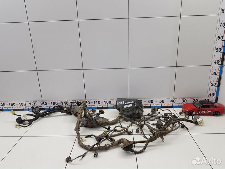 Электропроводка под капот (Kia Cerato)