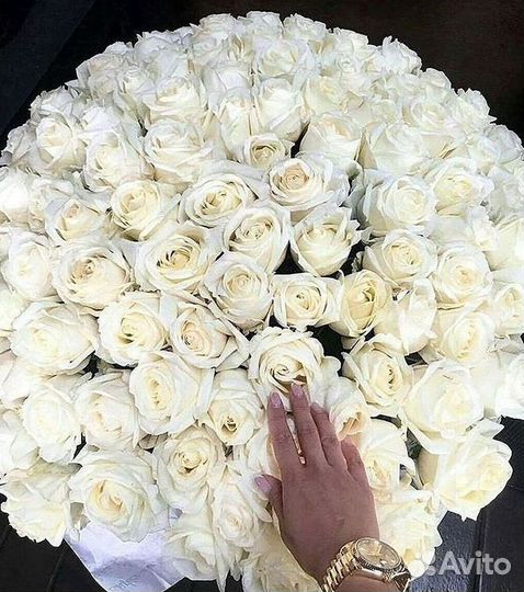 Высокие розы