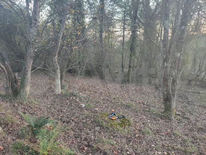 Участок 5 сот. (СНТ, ДНП)