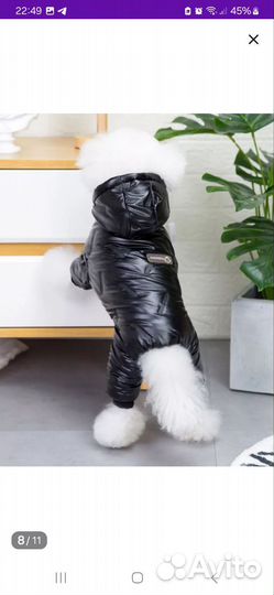 Костюм для щенка