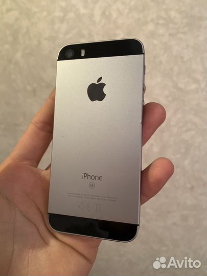 iPhone SE