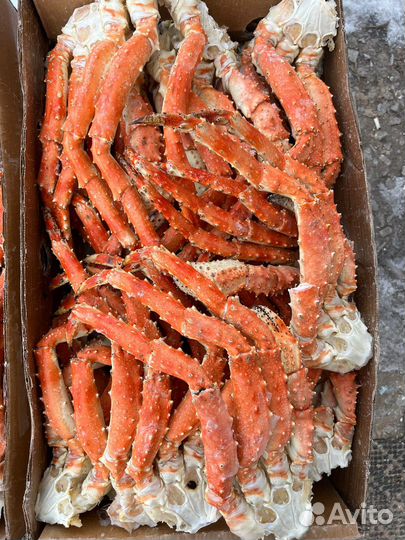 Клешни камчатского краба