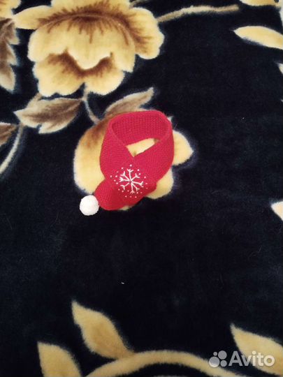 Свитера для кошек и шарфик