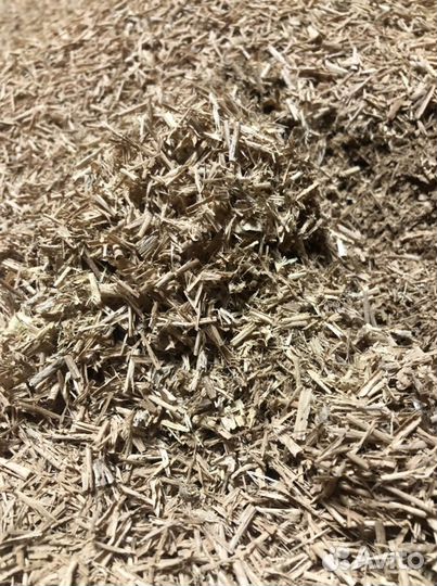 Опилки стружка лиственных пород