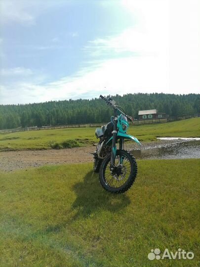 Питбайк regulmoto seven medalist(2023)