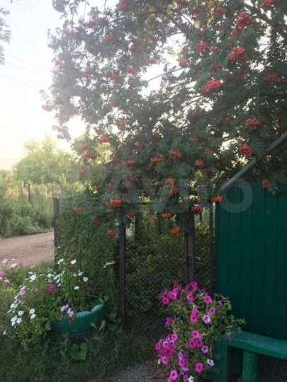 Дом 65 м² на участке 6 сот.