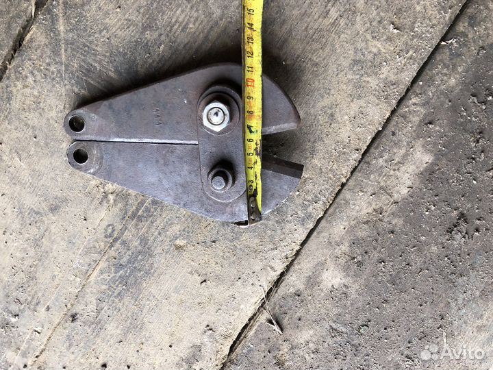 Губы болтореза