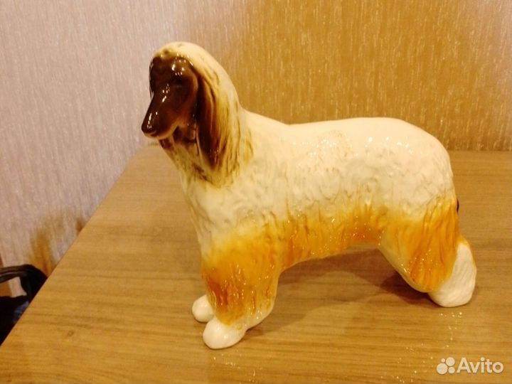 Собака афганская борзая лфз