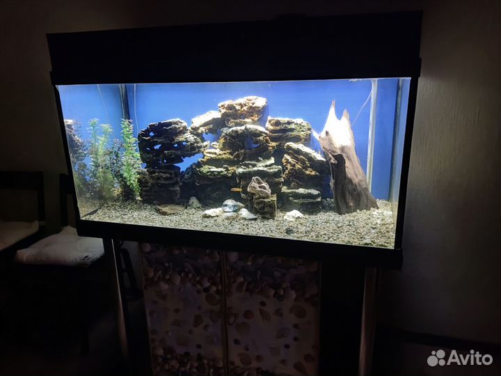 Аквариум
