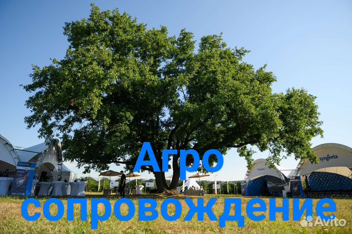 Профессиональная обрезка деревьев помощь по хозяйс