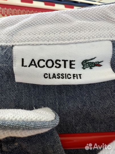 Lacoste polo оригинал