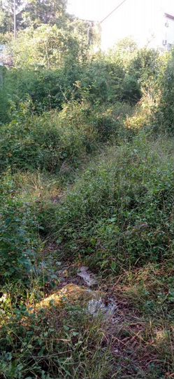 Участок 10 сот. (СНТ, ДНП)