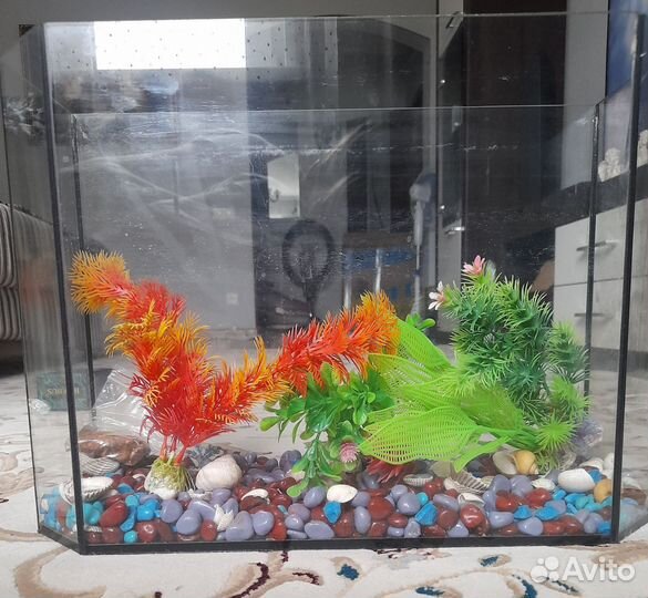 Аквариум