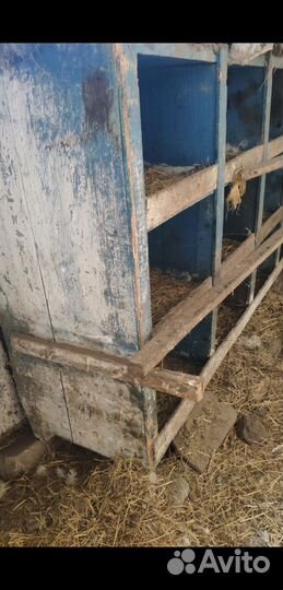 Гнездо для кур