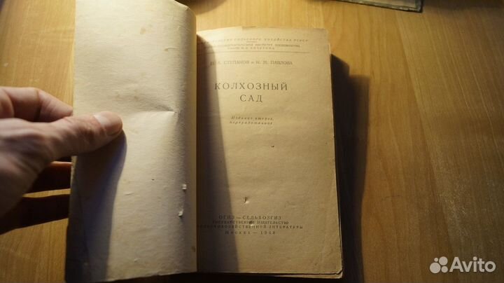 1586,2 Степанов П. А., Павлова Н. М. Колхозный сад