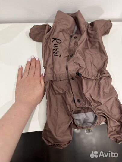 Дождевик для маленькой собаки (мальчика)