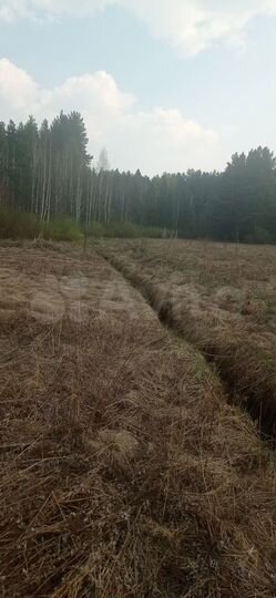 Участок 12 сот. (ИЖС)