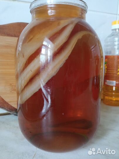 Чайный гриб