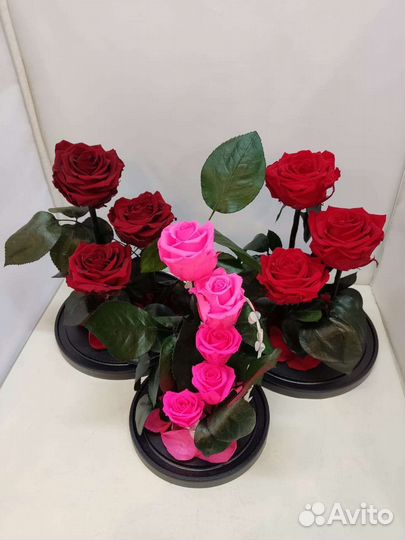 Подарок на новый год / Роза в колбе оптом