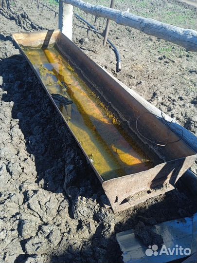 Корыто для крс