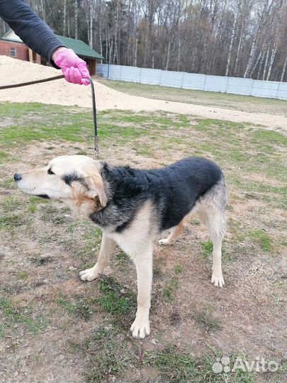 Ну где же потерялись мои люди