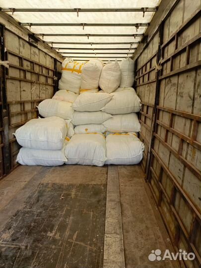 Грузчики на час санкт-петербург