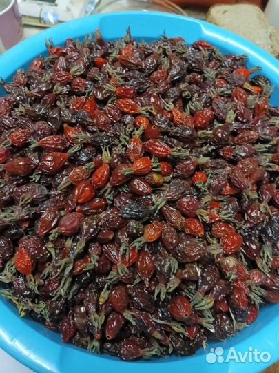 Шиповник сушеный