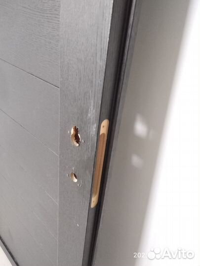 Дверное полотно