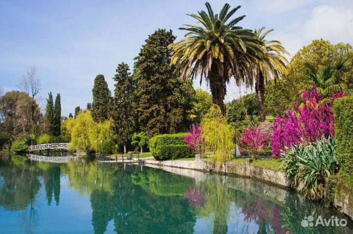 Путевка Абхазия 7 нч от 1-го человека