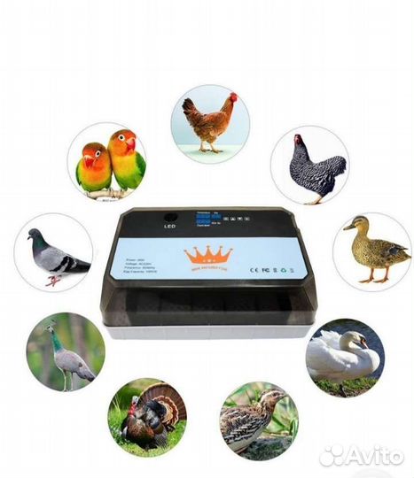 Инкубатор для яиц