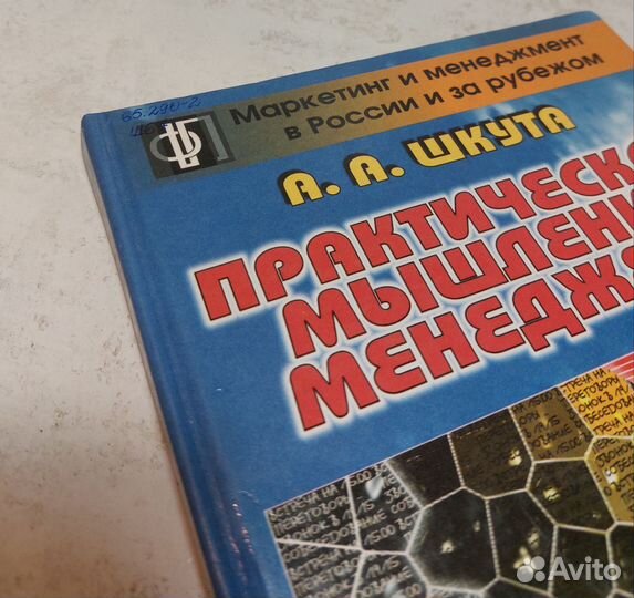 Практическое мышление менеджераАлександр Шкута