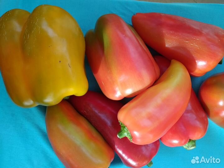 Домашние заготовки, овощи